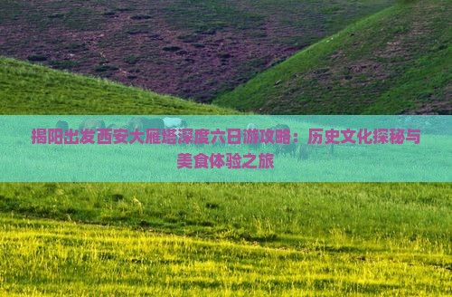 揭阳出发西安大雁塔深度六日游攻略：历史文化探秘与美食体验之旅