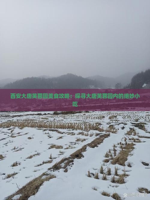 西安大唐芙蓉园美食攻略：探寻大唐芙蓉园内的绝妙小吃