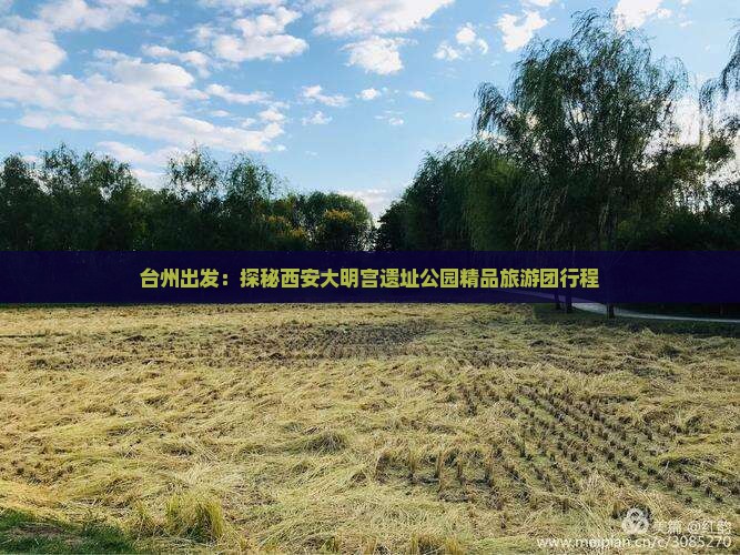 台州出发：探秘西安大明宫遗址公园精品旅游团行程