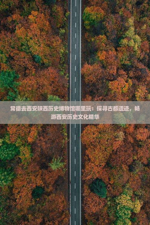 常德去西安陕西历史博物馆哪里玩：探寻古都遗迹，畅游西安历史文化精华