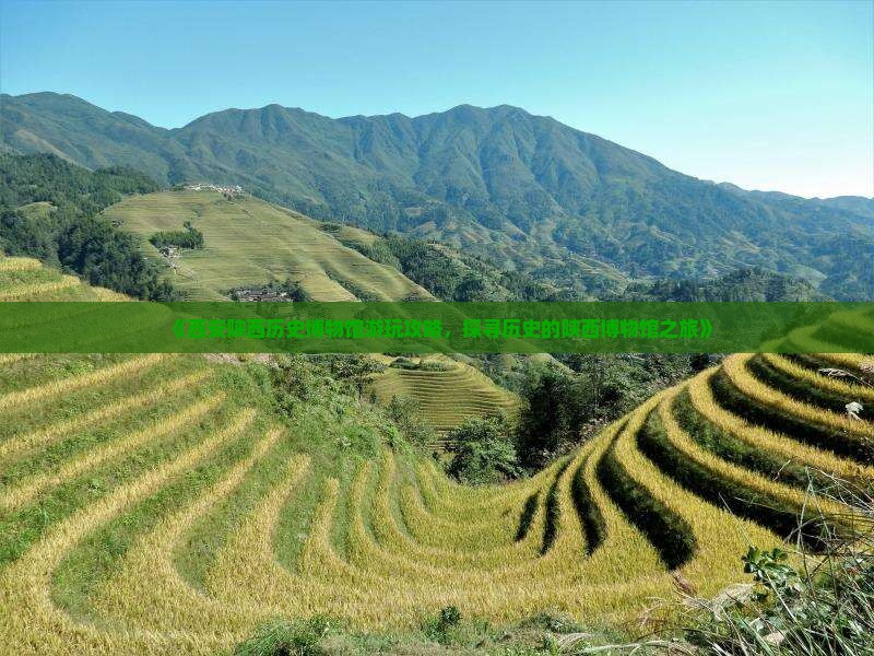 《西安陕西历史博物馆游玩攻略，探寻历史的陕西博物馆之旅》