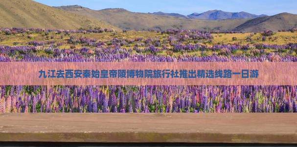 九江去西安秦始皇帝陵博物院旅行社推出精选线路一日游