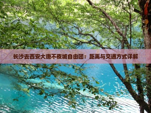 长沙去西安大唐不夜城自由团：距离与交通方式详解