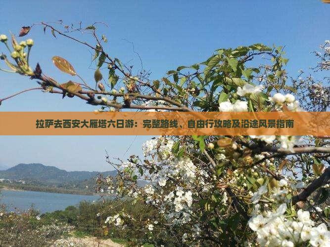 拉萨去西安大雁塔六日游：完整路线、自由行攻略及沿途风景指南