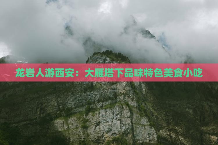 龙岩人游西安：大雁塔下品味特色美食小吃