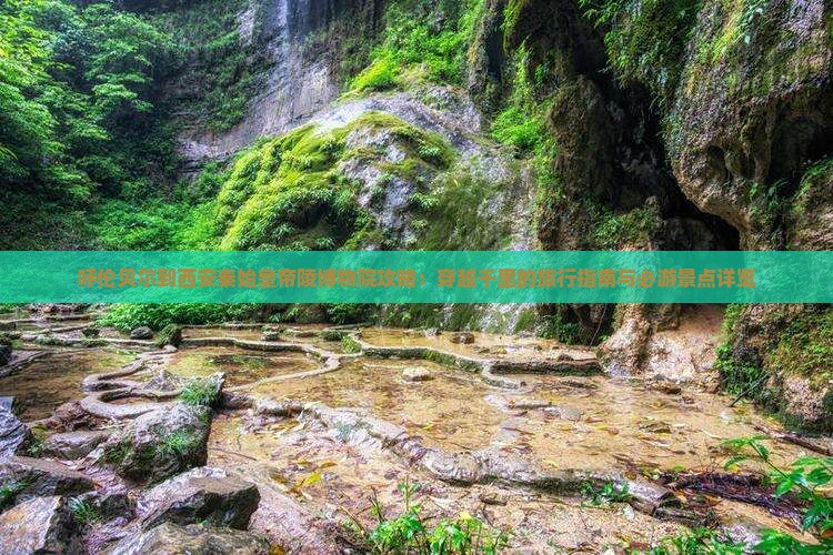 呼伦贝尔到西安秦始皇帝陵博物院攻略：穿越千里的旅行指南与必游景点详览