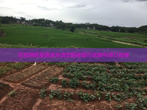 巴音郭楞至西安华清宫团体旅行攻略与预订指南