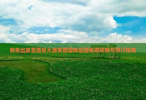 新余出发至西安大唐芙蓉园精品团体游攻略与预订指南