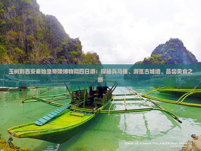玉树到西安秦始皇帝陵博物院四日游：探秘兵马俑、游览古城墙、品尝美食之旅