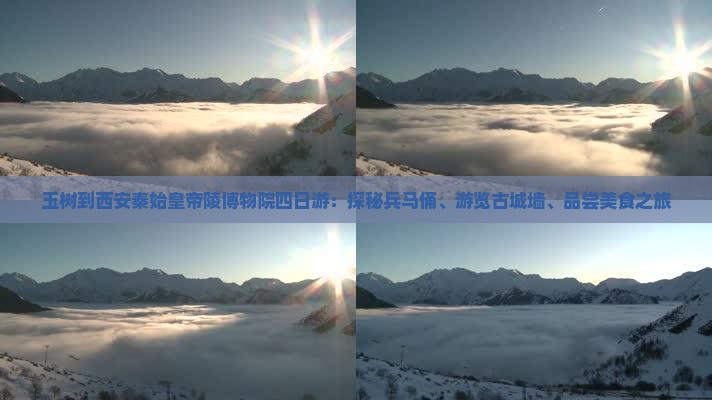 玉树到西安秦始皇帝陵博物院四日游：探秘兵马俑、游览古城墙、品尝美食之旅