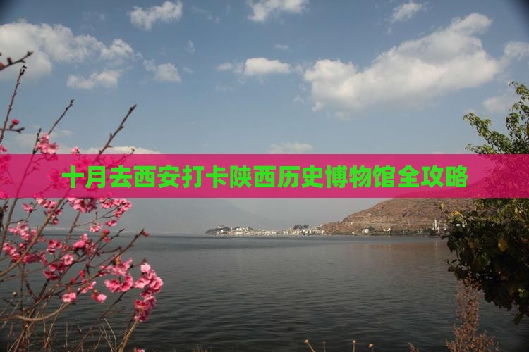 十月去西安打卡陕西历史博物馆全攻略