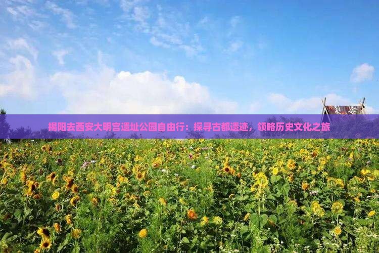 揭阳去西安大明宫遗址公园自由行：探寻古都遗迹，领略历史文化之旅