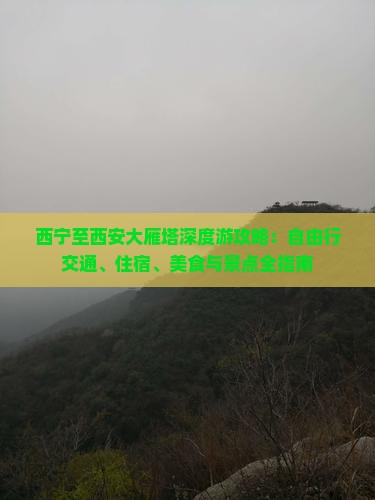 西宁至西安大雁塔深度游攻略：自由行交通、住宿、美食与景点全指南