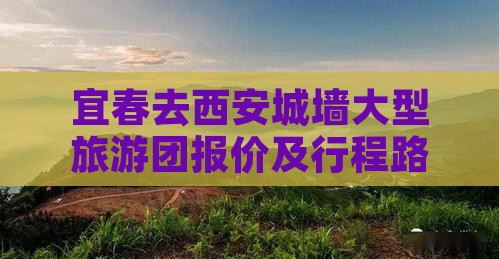 宜春去西安城墙大型旅游团报价及行程路线