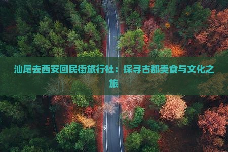 汕尾去西安回民街旅行社：探寻古都美食与文化之旅