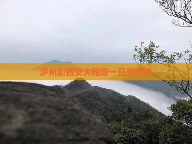 泸州到西安大雁塔一日游攻略