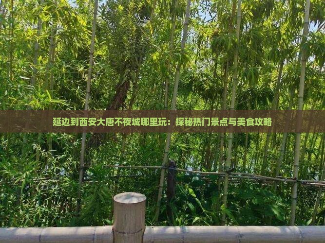延边到西安大唐不夜城哪里玩：探秘热门景点与美食攻略