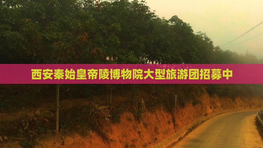 西安秦始皇帝陵博物院大型旅游团招募中