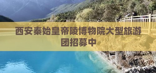 西安秦始皇帝陵博物院大型旅游团招募中