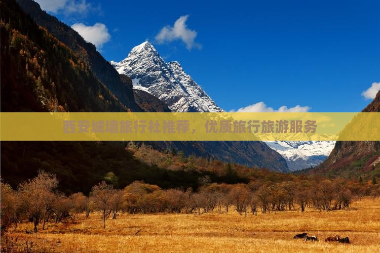 西安城墙旅行社推荐，优质旅行旅游服务
