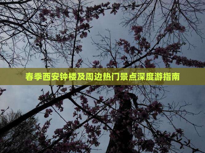 春季西安钟楼及周边热门景点深度游指南