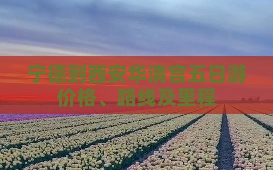 宁德到西安华清宫五日游价格、路线及里程