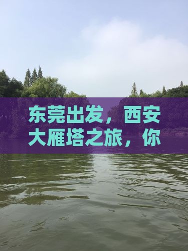 东莞去西安大雁塔景点