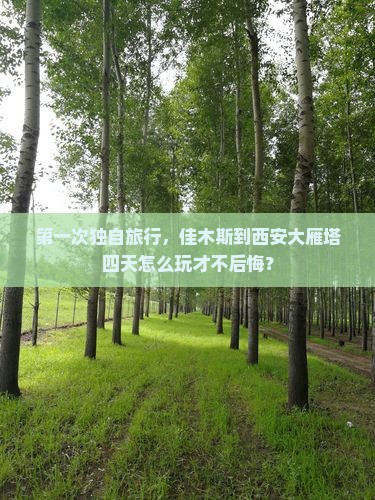 佳木斯到西安大雁塔四日游 佳木斯到西安大雁塔四日游