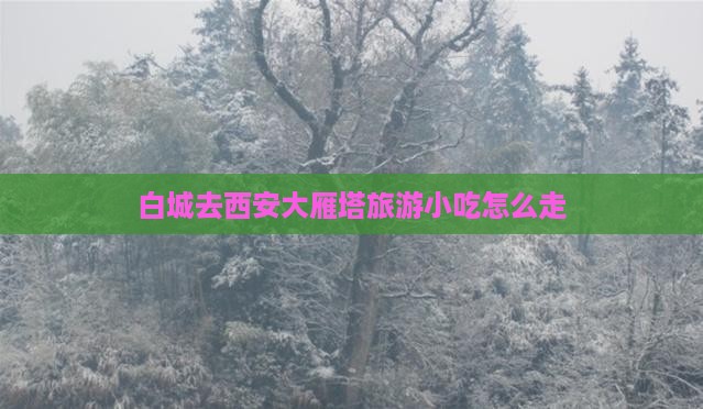 白城去西安大雁塔旅游小吃