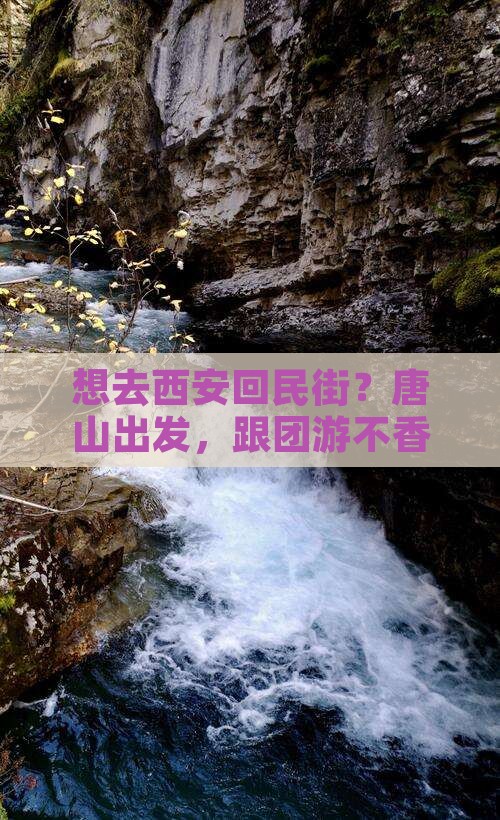 唐山到西安回民街旅行社
