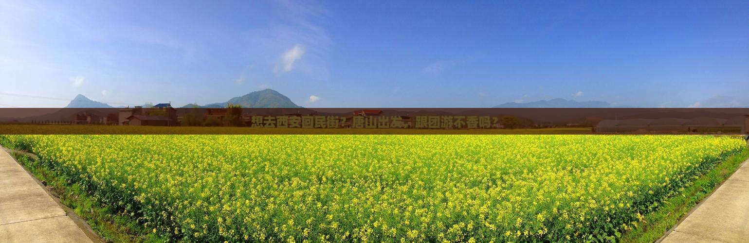 唐山到西安回民街旅行社