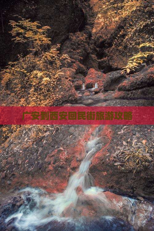 广安到西安回民街自由行 广安到西安回民街自由行