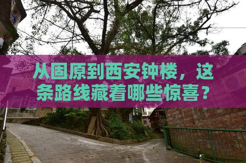 固原去西安钟楼攻略