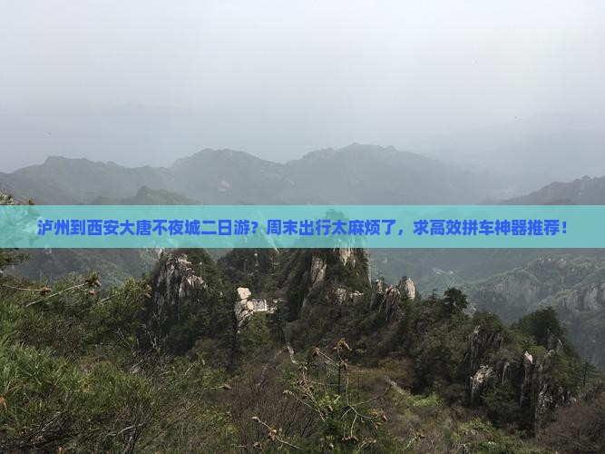 泸州到西安大唐不夜城二日游
