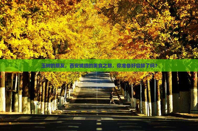 玉树去西安城墙旅游小吃