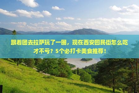 拉萨去西安回民街团体旅游