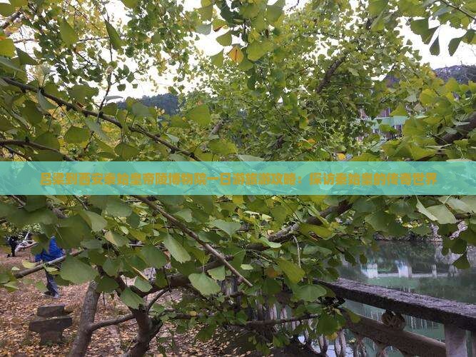 吕梁到西安秦始皇帝陵博物院一日游