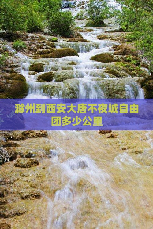 滁州到西安大唐不夜城自由团
