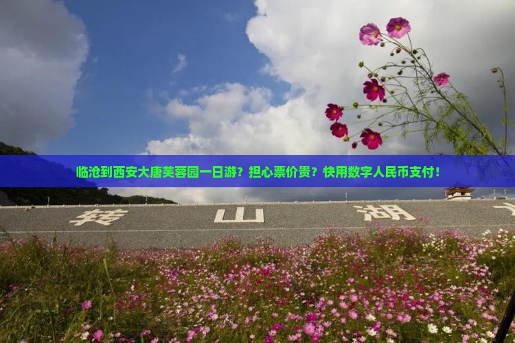 临沧去西安大唐芙蓉园一日游