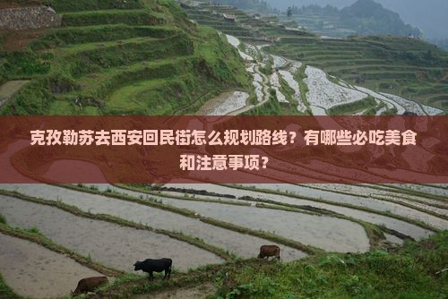 克孜勒苏去西安回民街攻略