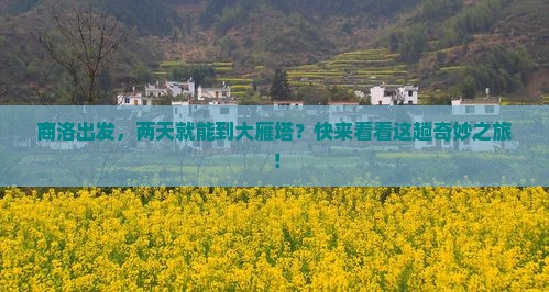 商洛去西安大雁塔二日游