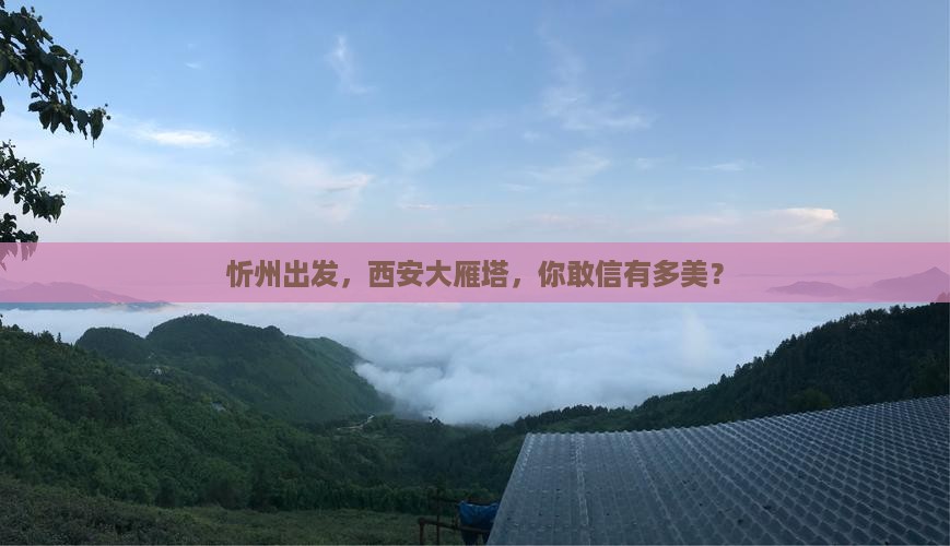 忻州到西安大雁塔景点