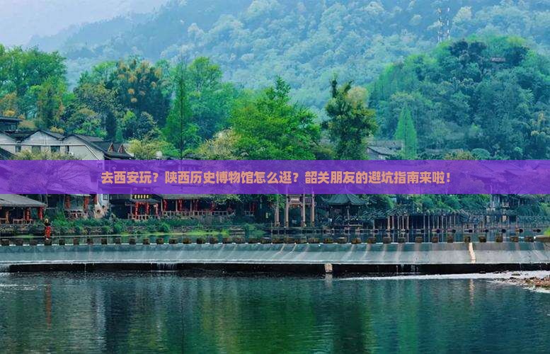韶关去西安陕西历史博物馆攻略