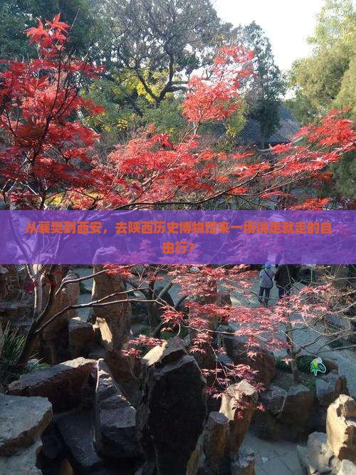 襄樊到西安陕西历史博物馆自由行
