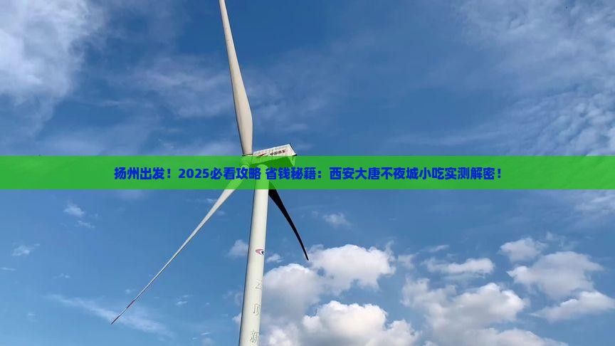 扬州到西安大唐不夜城旅游小吃
