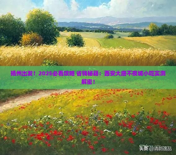 扬州到西安大唐不夜城旅游小吃
