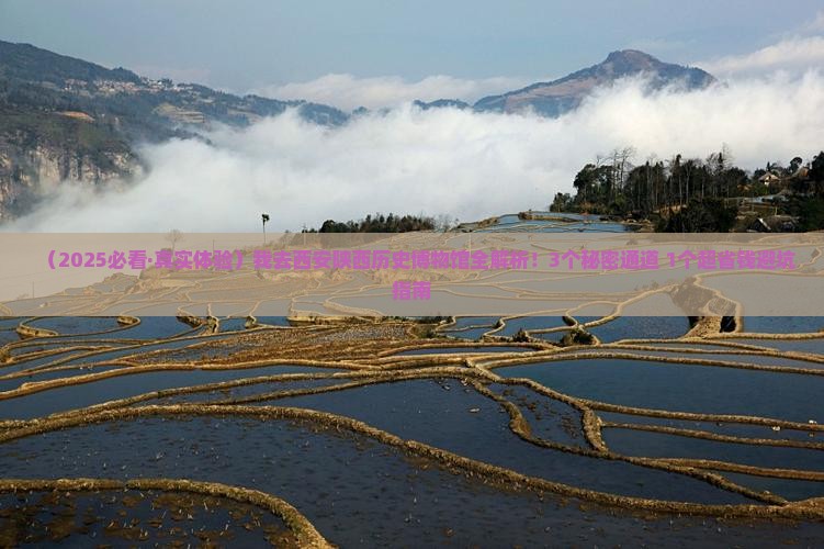 永新去西安陕西历史博物馆攻略