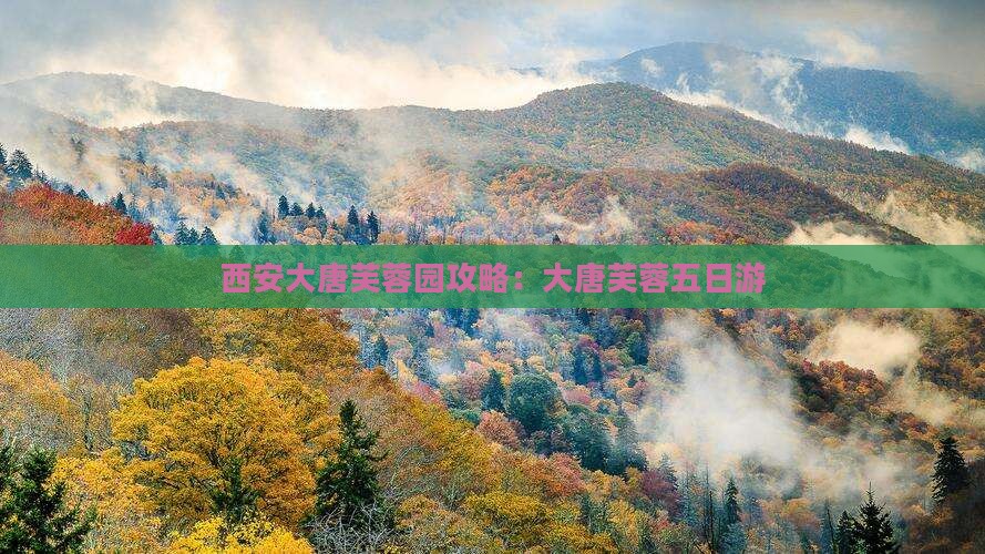 西安去西安大唐芙蓉园五日游