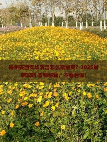 梅州去西安华清宫哪里玩