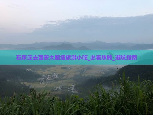 石家庄去西安大雁塔旅游小吃